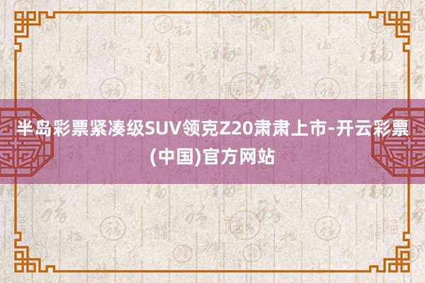 半岛彩票紧凑级SUV领克Z20肃肃上市-开云彩票(中国)官方网站