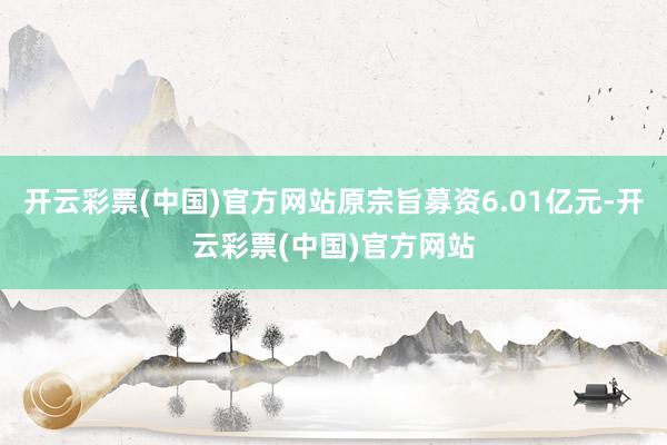 开云彩票(中国)官方网站原宗旨募资6.01亿元-开云彩票(中国)官方网站