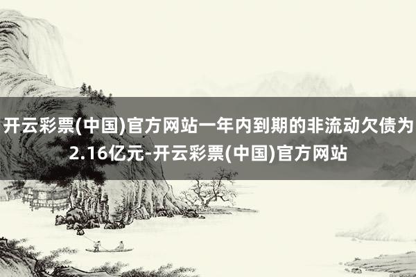 开云彩票(中国)官方网站一年内到期的非流动欠债为2.16亿元-开云彩票(中国)官方网站